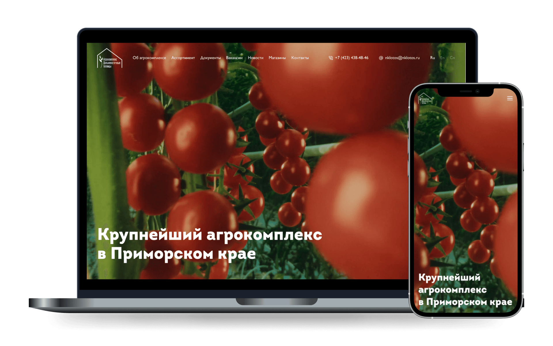 Дальневосточные теплицы