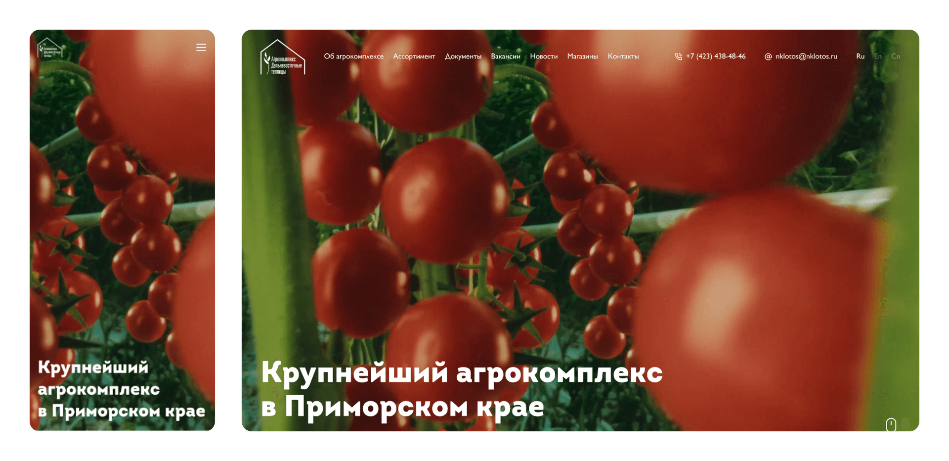 Главная страница