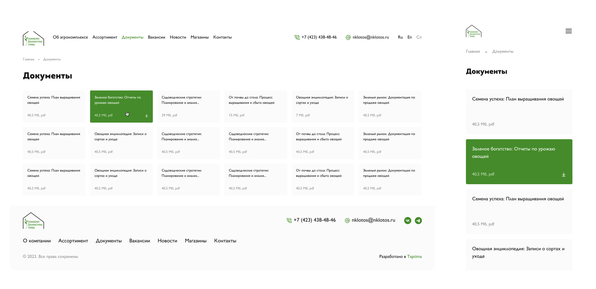 Дополнительные страницы